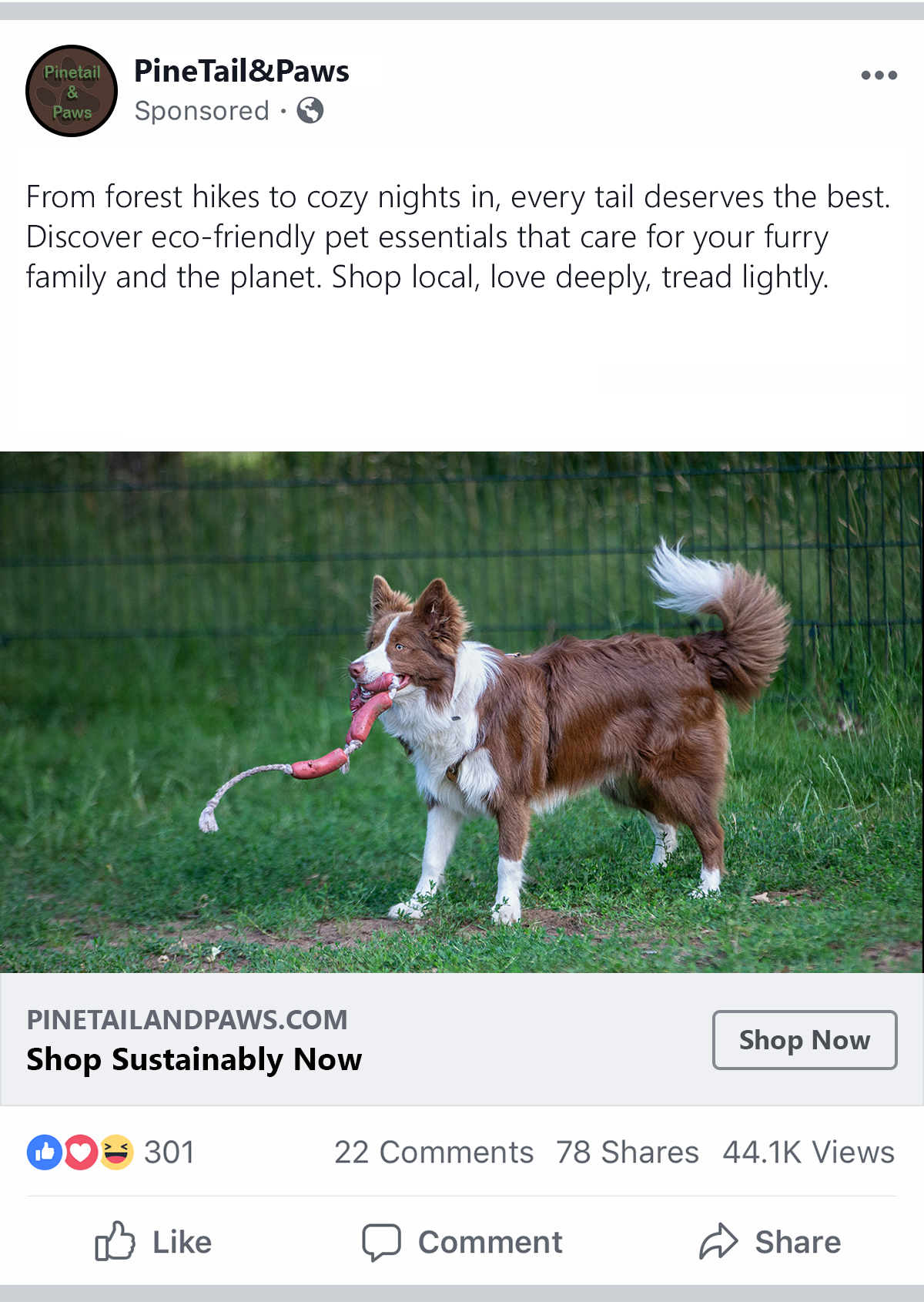 Placeholder Alt text